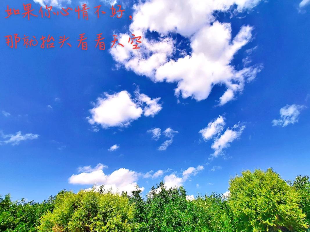 杨瀚森工作室：向上走的路从来不是轻松顺畅的 放平心态继续提升